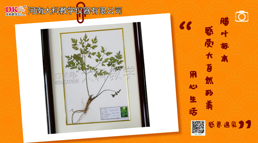 橫版海報(bào)_2020-05-28-1