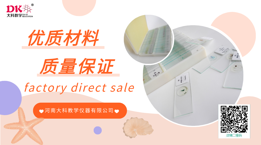 生物標(biāo)本的裝訂工藝