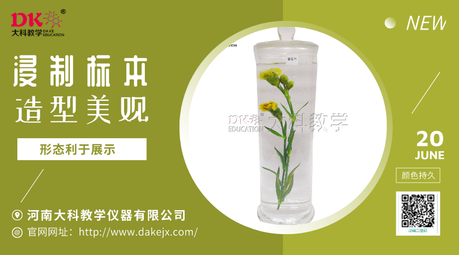 植物浸制標(biāo)本的制作
