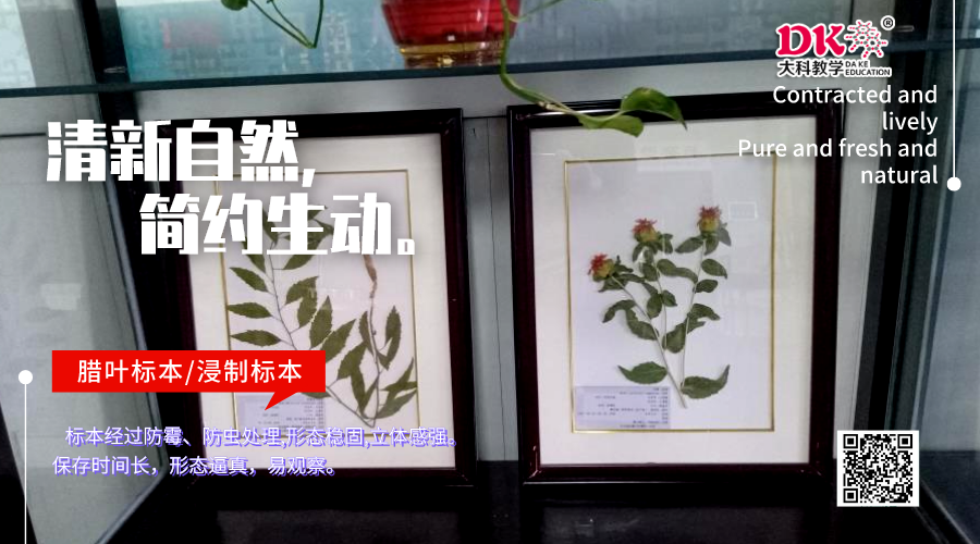 植物標(biāo)本根據(jù)使用目的分類
