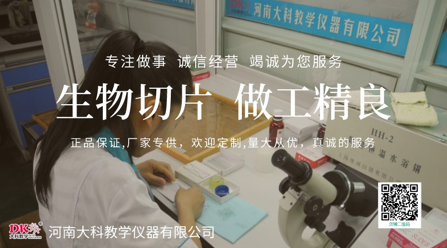 生物標(biāo)本在教學(xué)中的作用