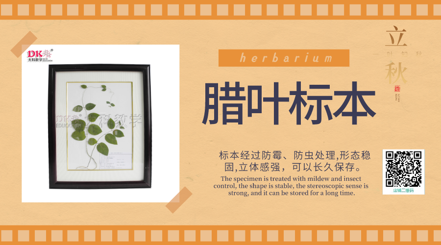 植物標(biāo)本的制作過程