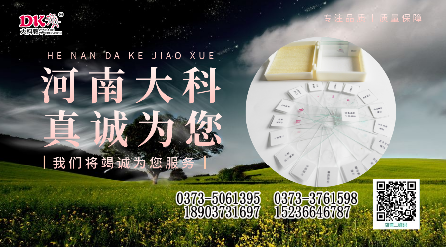 昆蟲標(biāo)本的制作方法